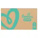 Pampers Pants MP S6