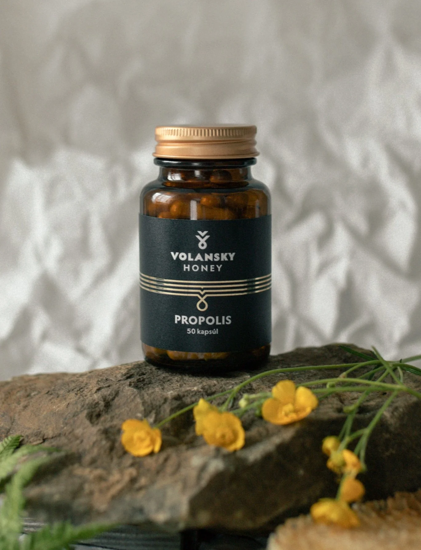 Propolis v kapsulách - 50 kapsúl