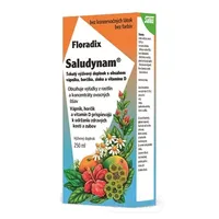 SALUS Floradix Saludynam