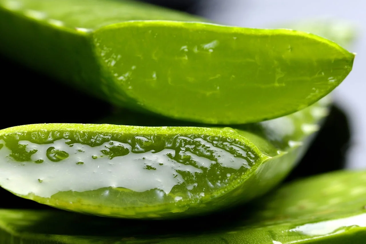 ESI Aloe Vera šťava + Červený pomaranč 1liter