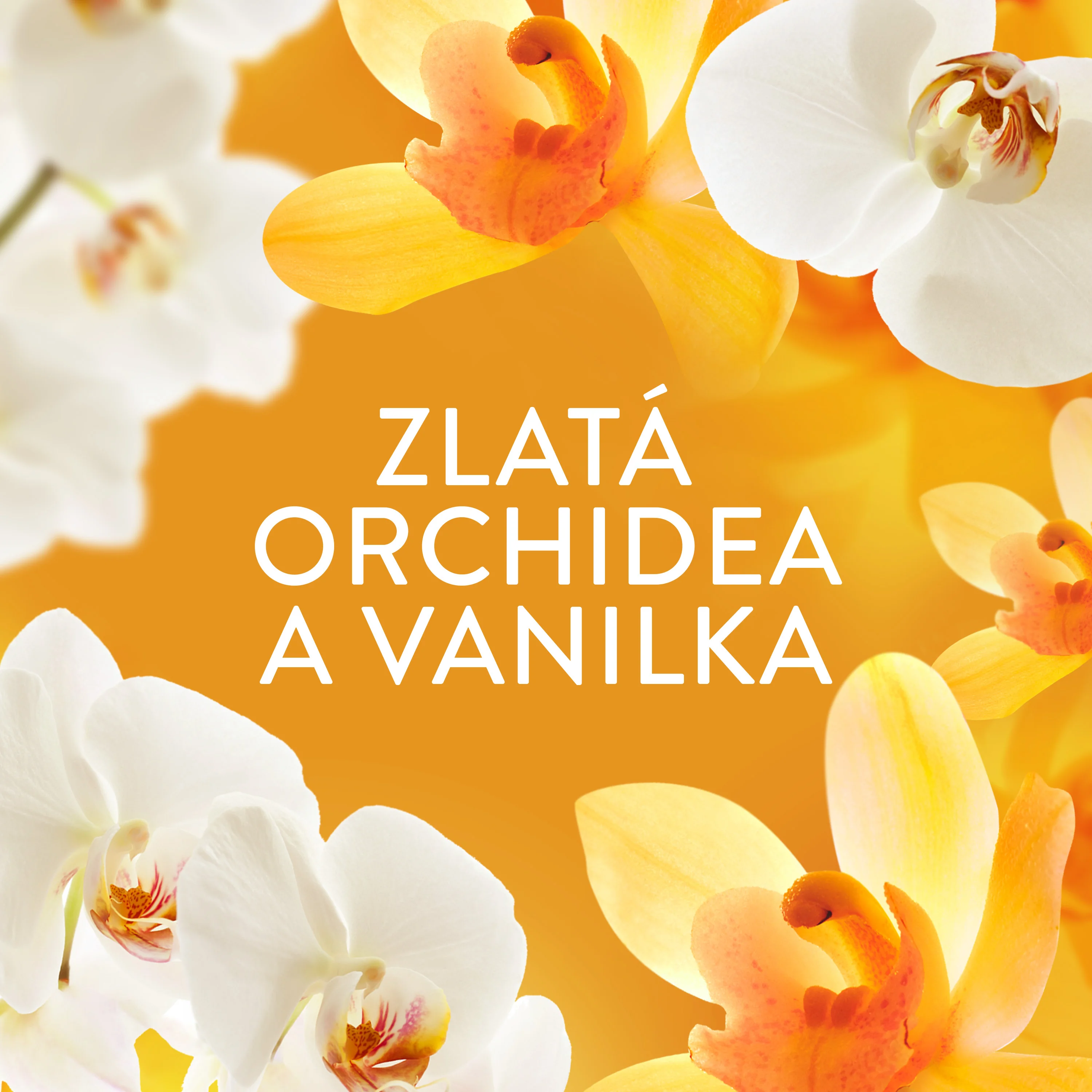 Lenor Gold Orchid & Vanilla perličky do prania 195 g