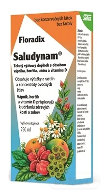 SALUS Floradix Saludynam 1×250 ml, tekutá forma