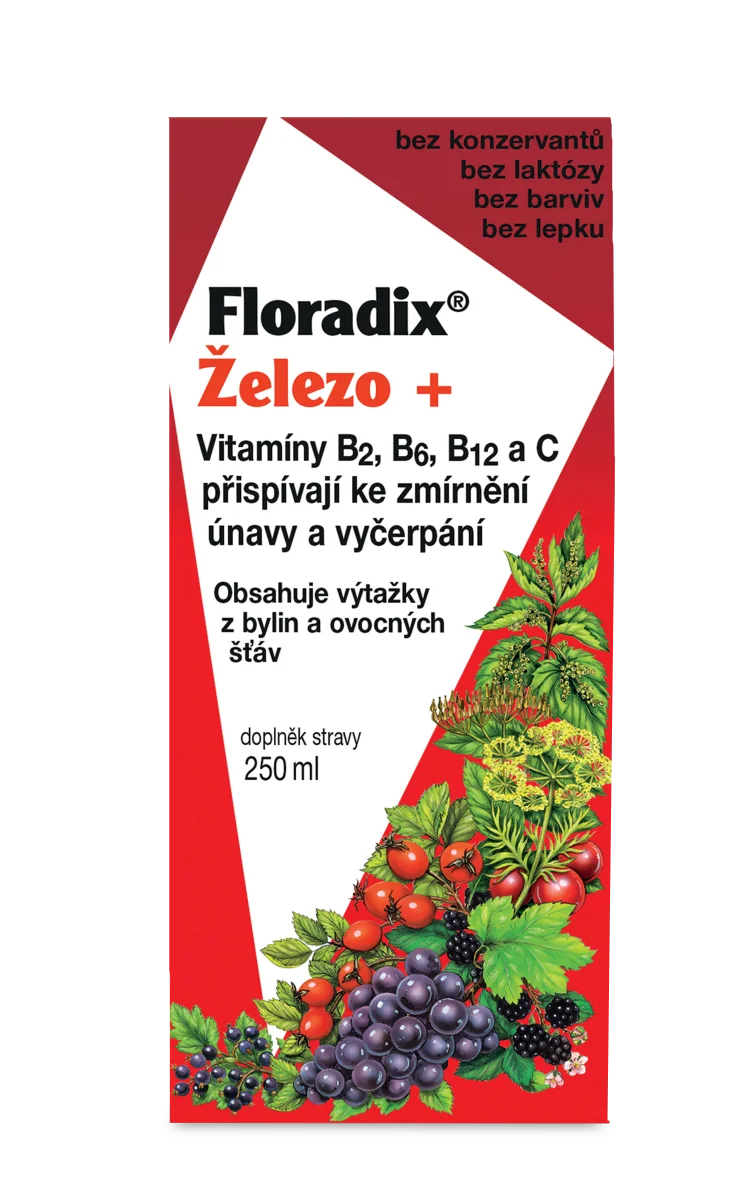 SALUS Floradix 1×250 ml, bylinný sirup