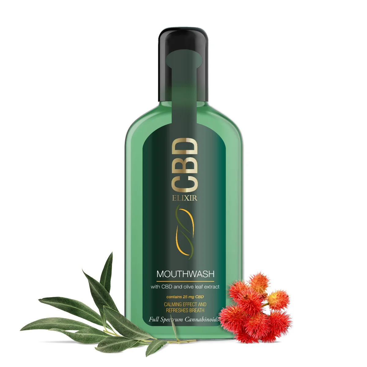 CBD Elixir Mouth Wash 1×250 ml, ústna voda