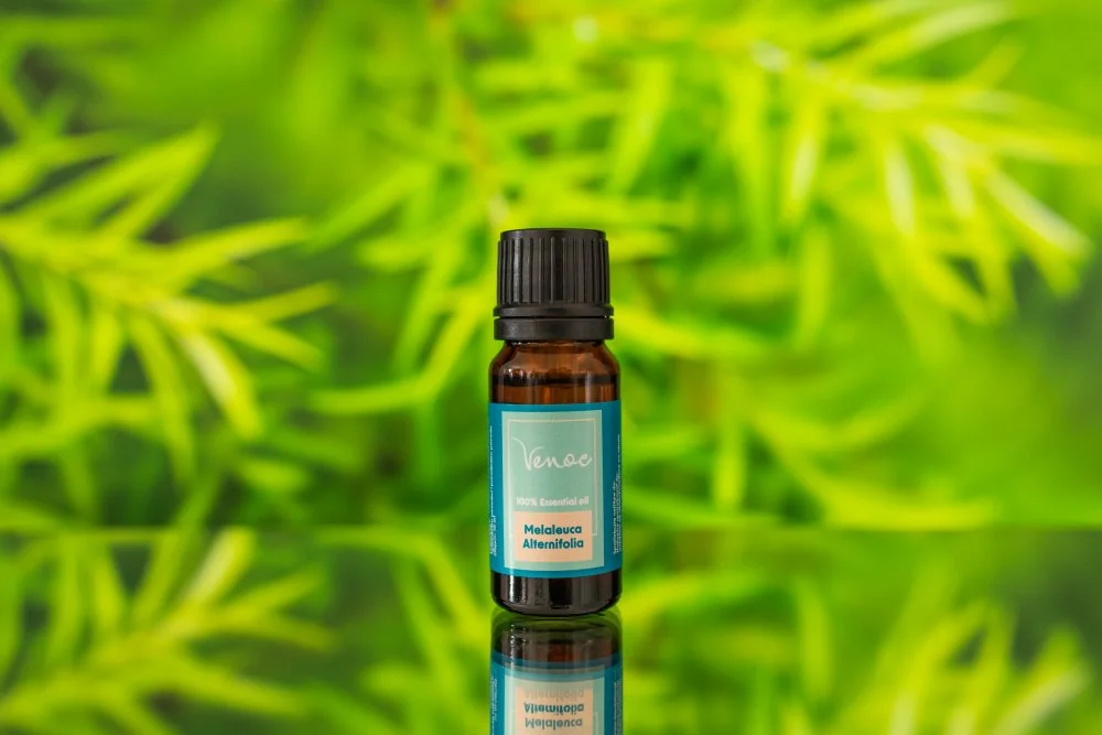 Venoc Esenciálny olej Tea Tree 1×10 ml, esenciálny olej