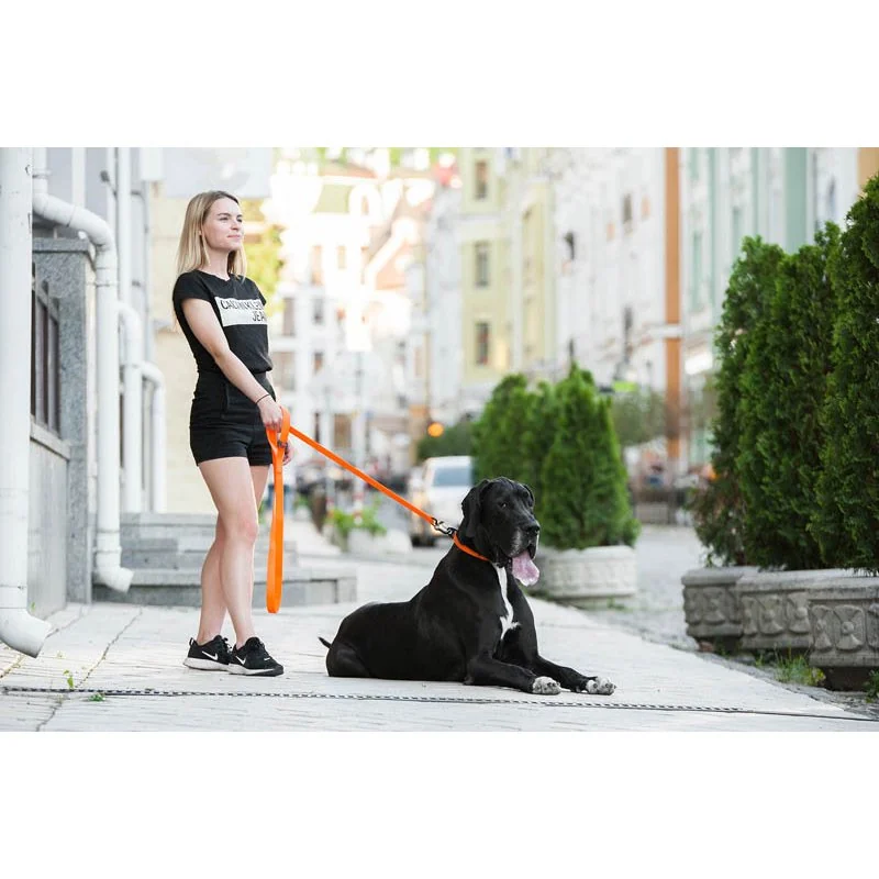 Najsilnejší obojok pre psa EVOLUTOR oranžový