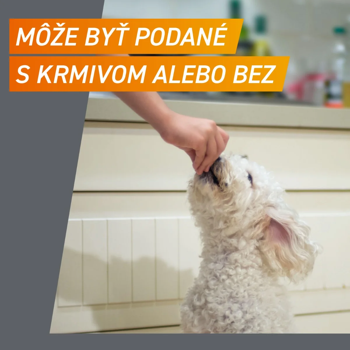 FRONTPRO® antiparazitárne žuvacie tablety pre psy (2-4 kg) 1×3 tbl, antiparazitárne tablety