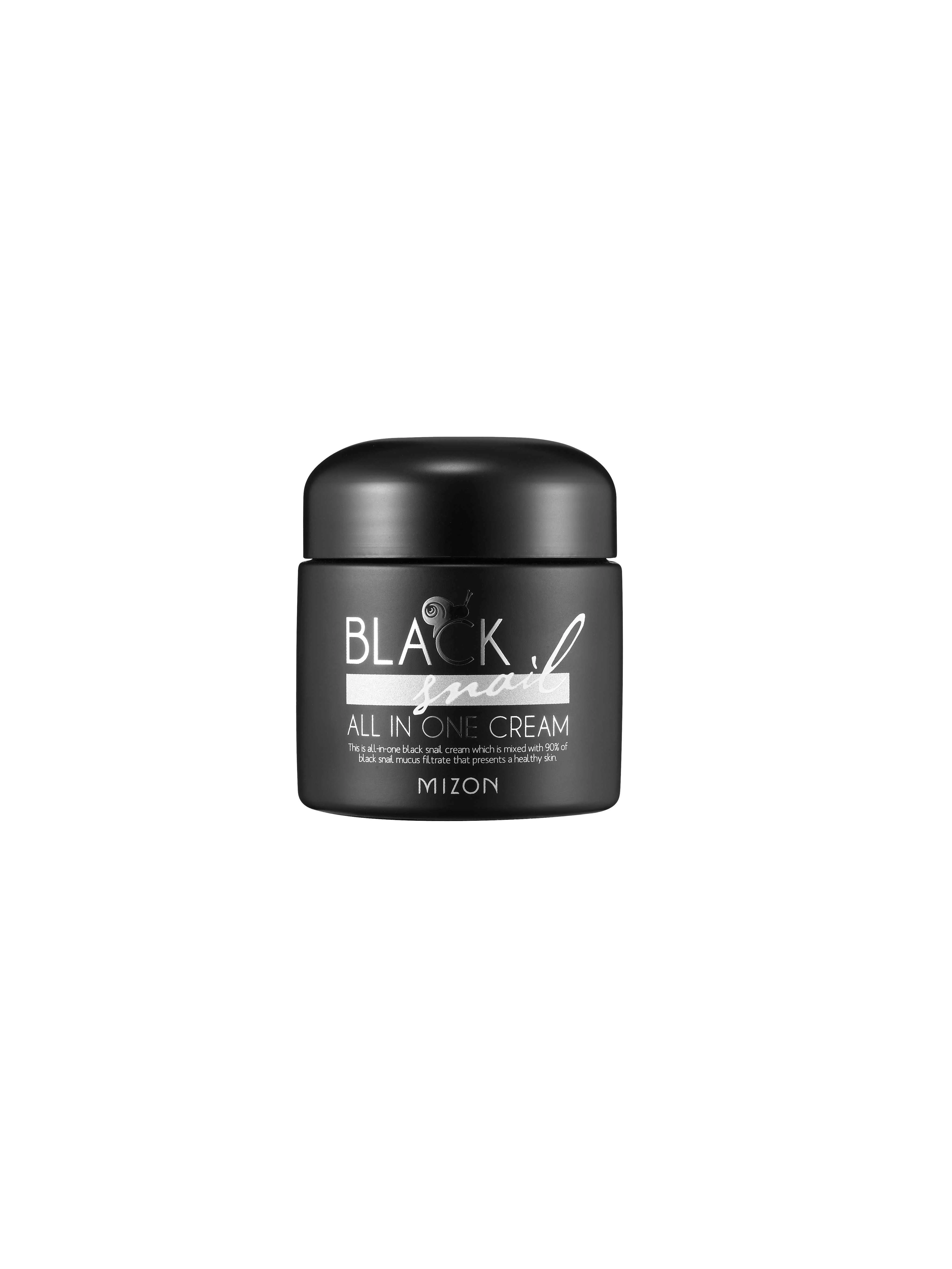 Mizon Black Snail All In One Cream 75 ml 1×75 ml, krém na tvár