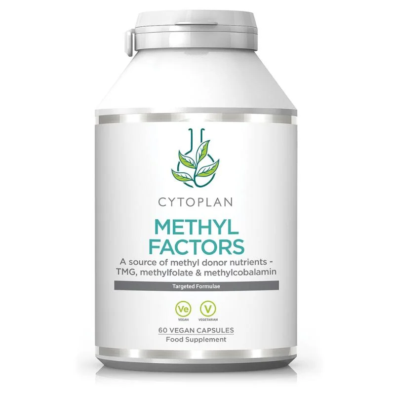 METHYL FAKTORY - B1 + Betaín + B2 + B6 + L-Metylfolát vápenatý + Vitamín B12 a Zinok, 60 kapsúl