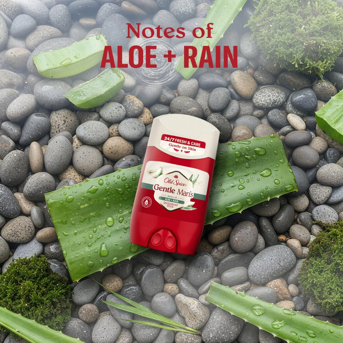 Old Spice Gentle Man's Aloe + Rain tuhý dezodorant 50 ml