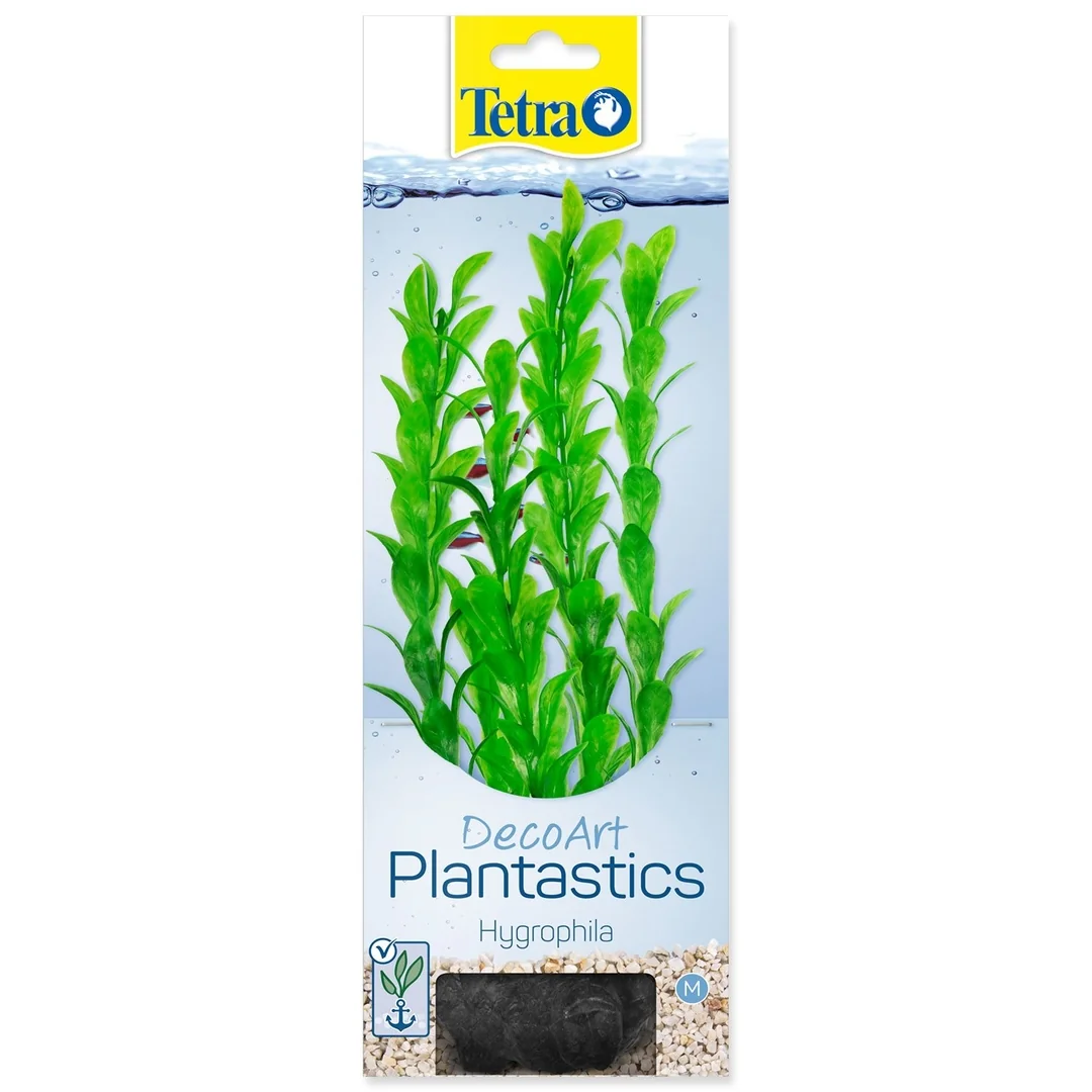 Dekorácia Tetra Rastlina Hygrophila M 23cm