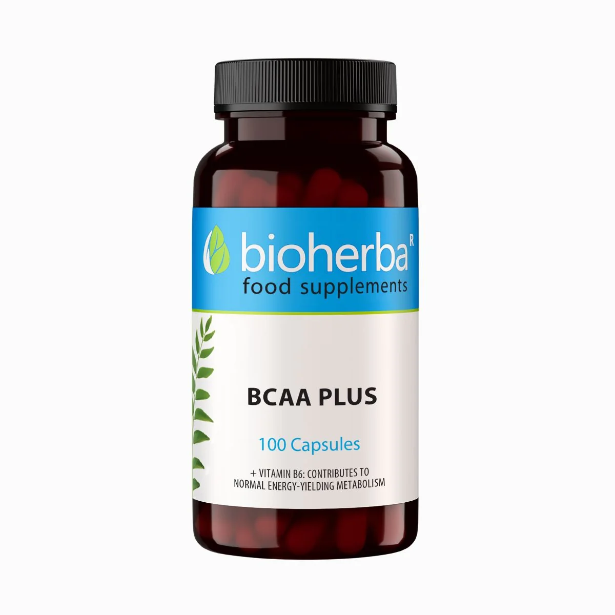 BCAA Plus – 100 kapsúl – Bioherba