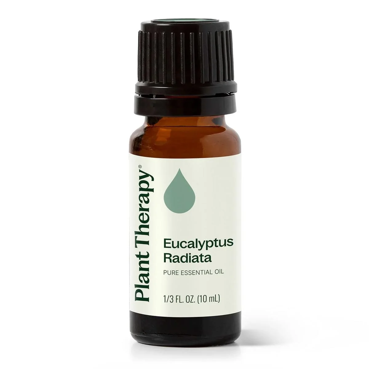 Plant Therapy Eucalyptus Radiata 10 ml Objem: 10 ml
