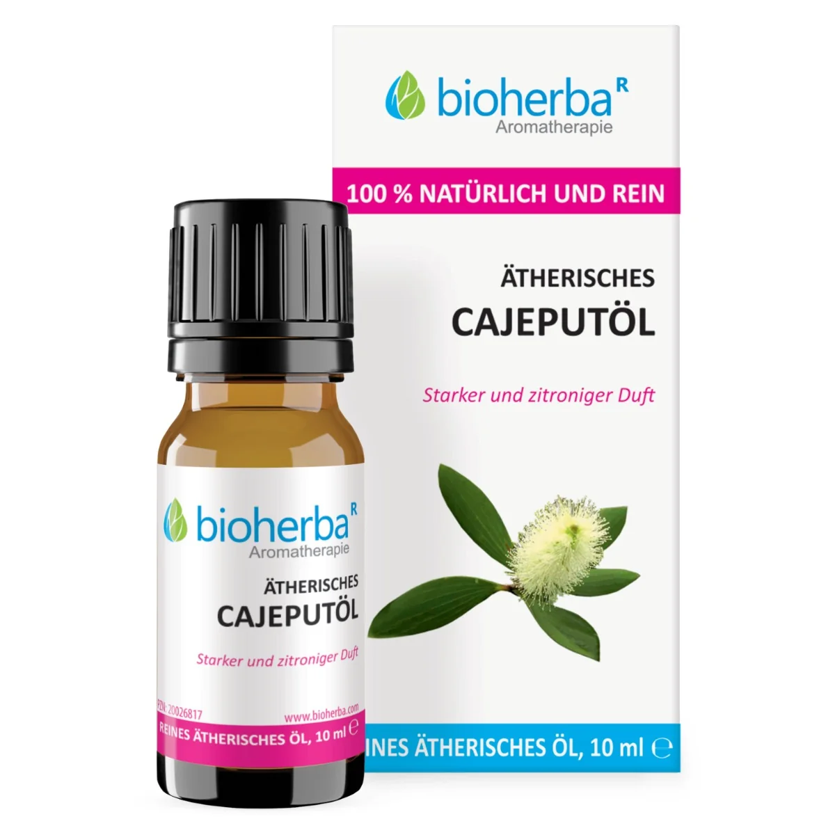 Esenciálny olej kajeput (Melaleuka) – 10 ml – Bioherba
