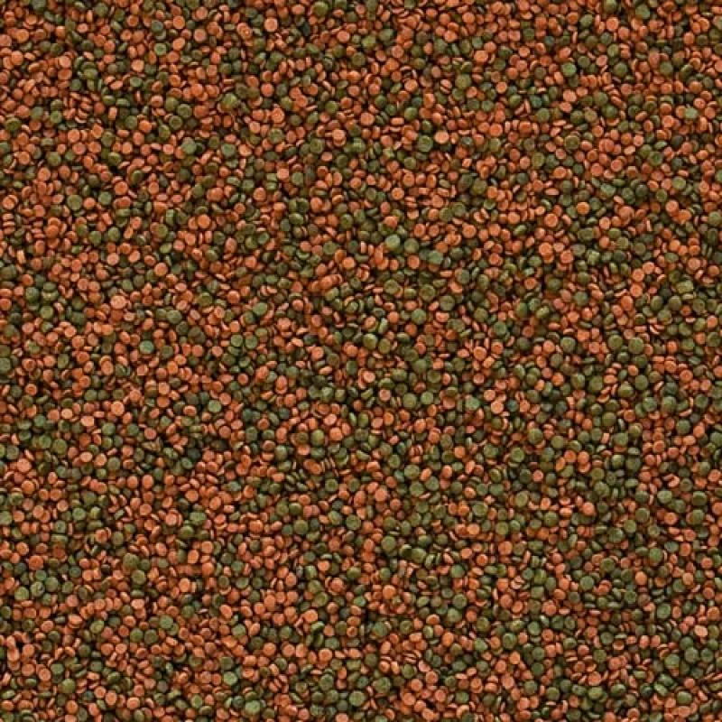 TROPICAL Cichlid Gran 1000ml/550g krmivo s beta-glukanom pre cichlidy