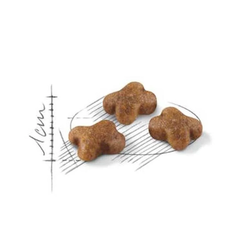 ROYAL CANIN FHN KITTEN 4kg -suché krmivo pre mačiatka od 4 do 12 mesiacov