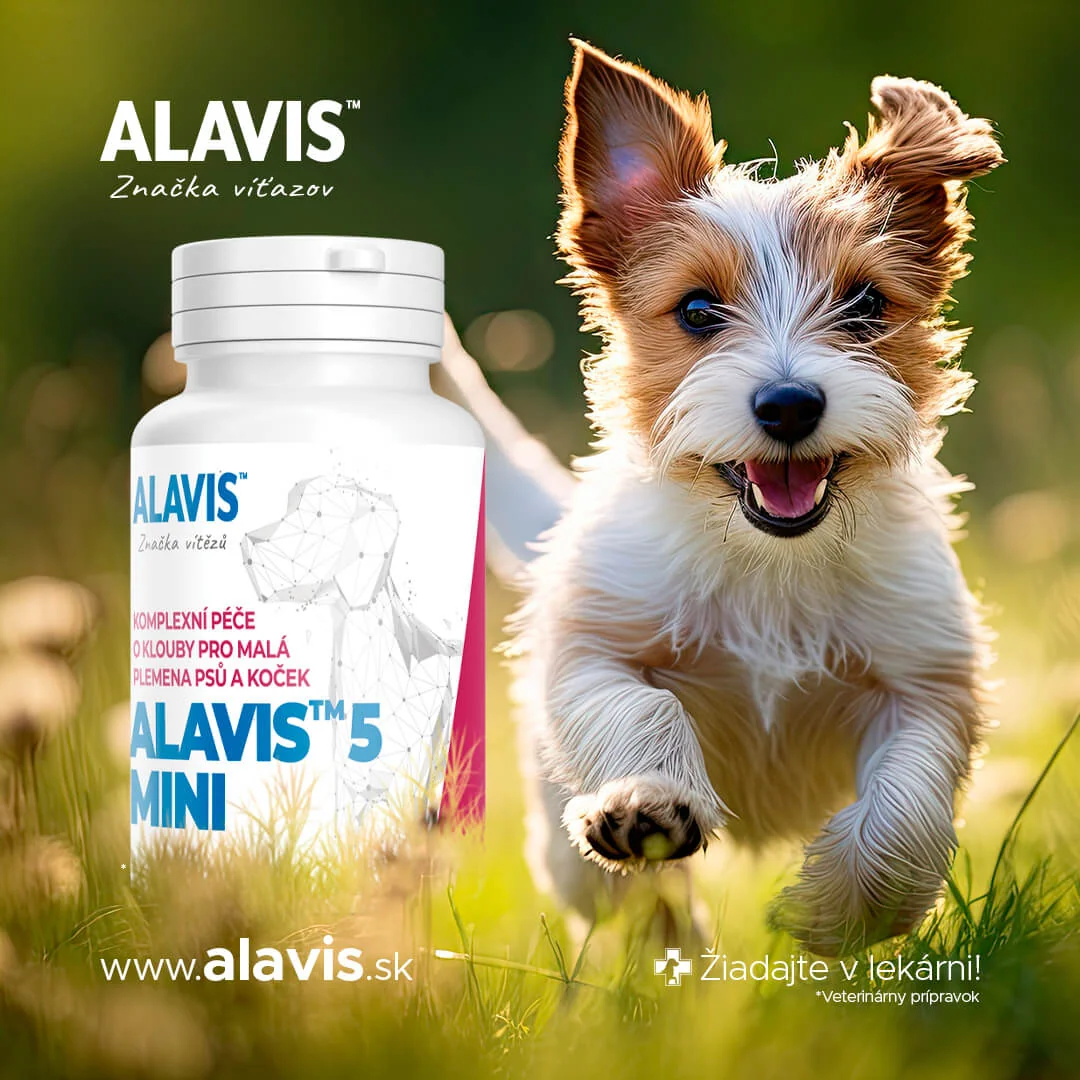 ALAVIS 5 MINI 1×90 tbl, veterinárny prípravok