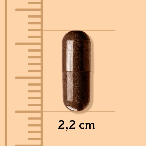 TEREZIA ČIERNY CESNAK 1×60 cps, výživový doplnok