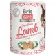 Brit Care Cat Snack Superfruits Lamb 100g