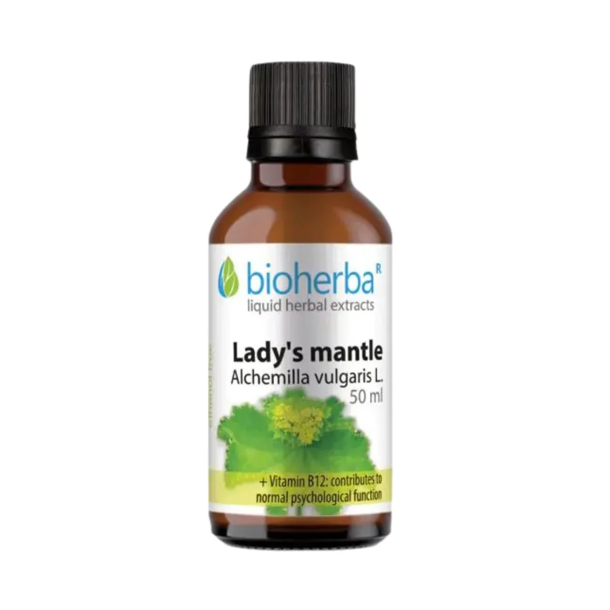 Alchemilka - tinktúra kvapky - 50 ml - Bioherba