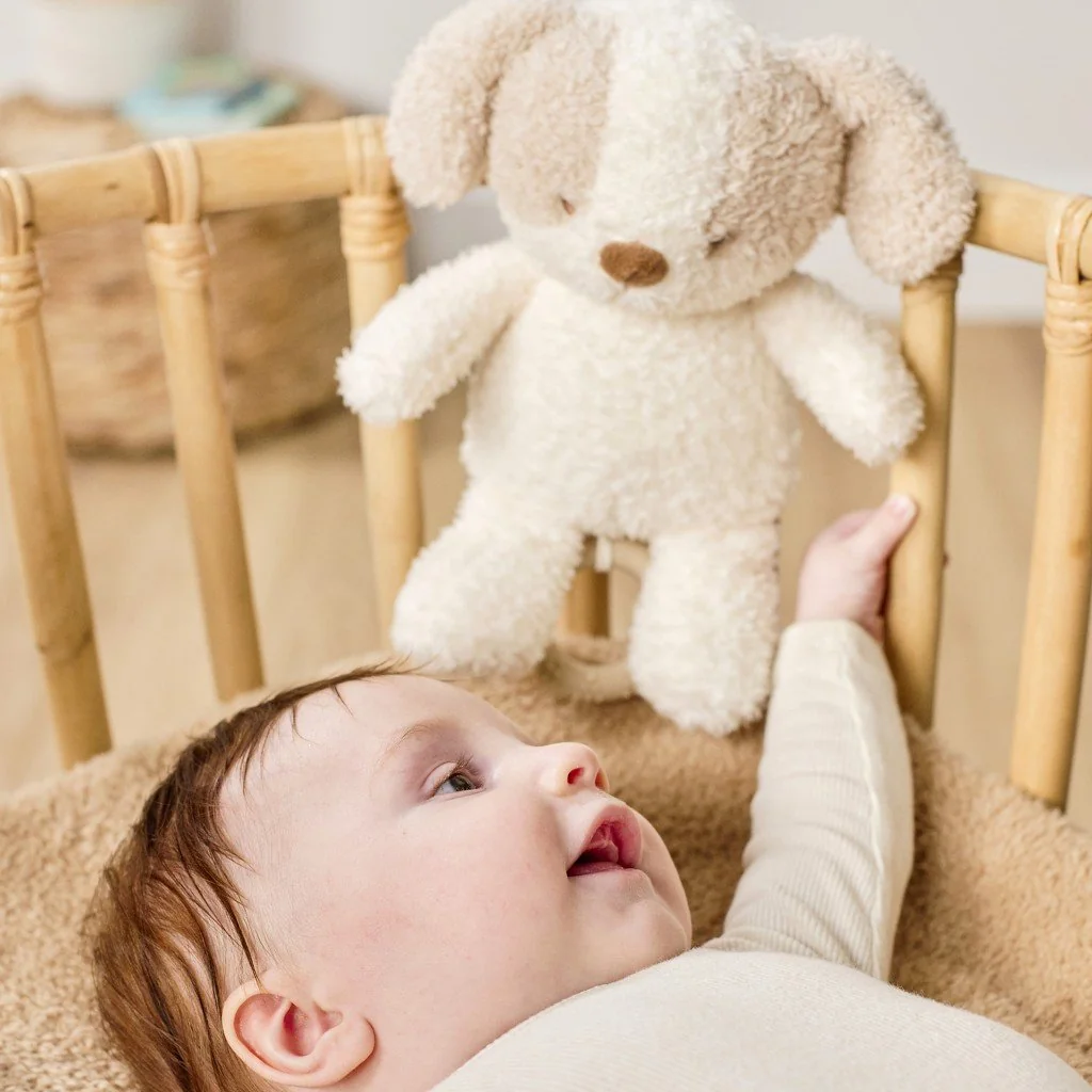 Hračka plyšová hudobná Teddy psík 24 cm, 0m+