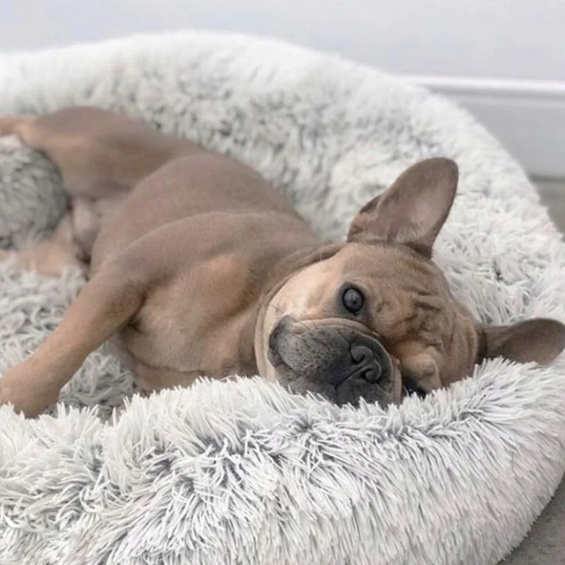 MG Dog Bed pelech pre mačky a psy 80 cm, šedý