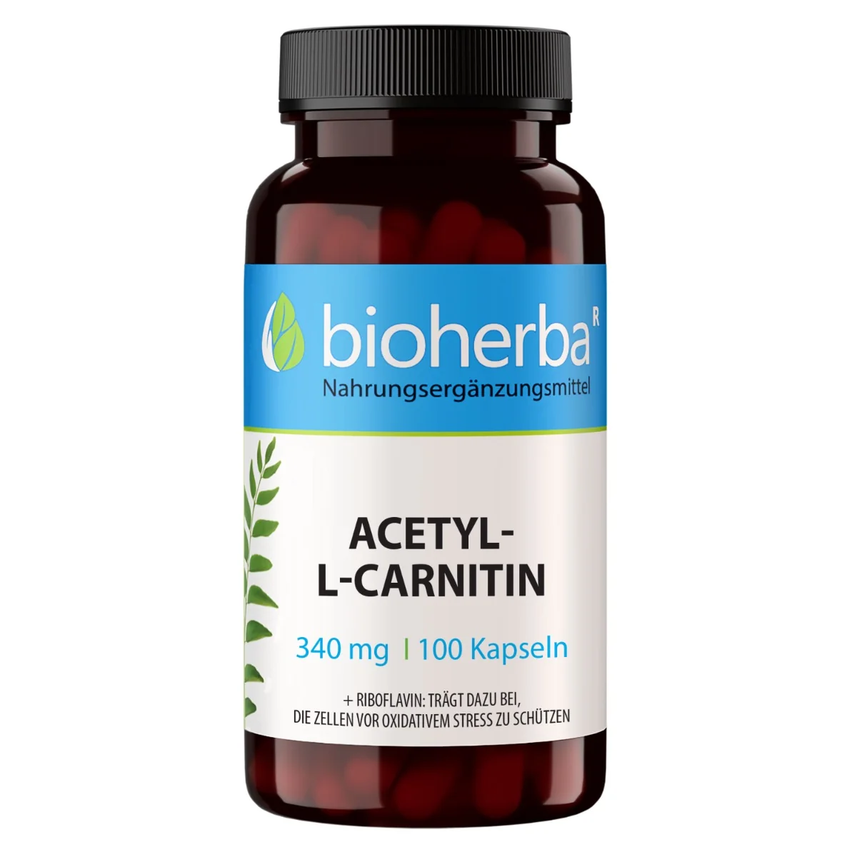 Acetyl-L-Karnitín 340 mg – 100 kapsúl – Bioherba