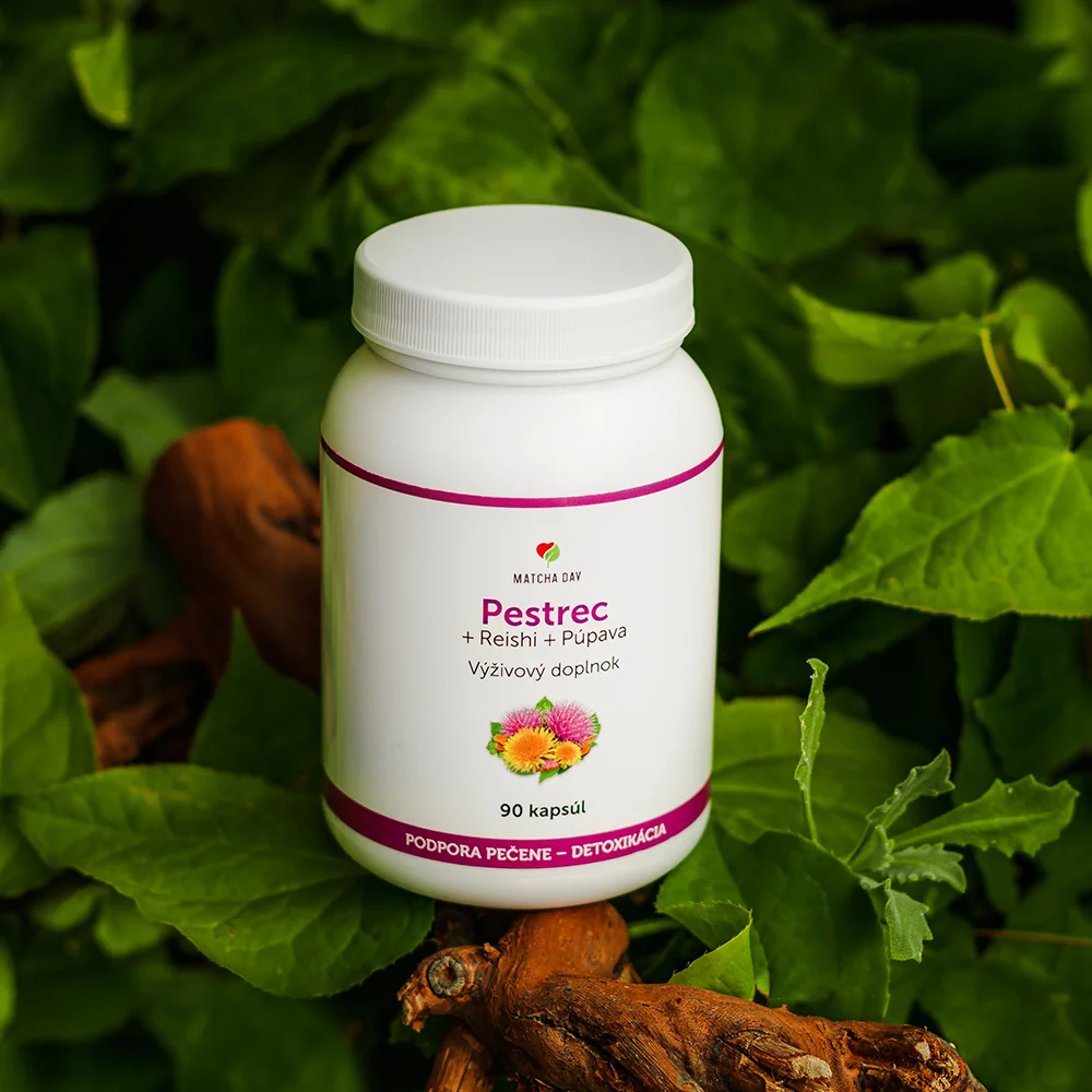 MatchaDay - Pestrec + Reishi + Púpava 2x 90 kapsúl 2x 90 cps pestrec reishi, výživový doplnok
