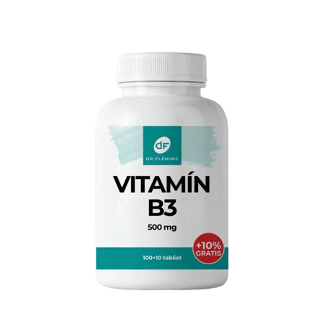 DR. FLEMING Vitamin B3 500mg +10% gratis 110ks