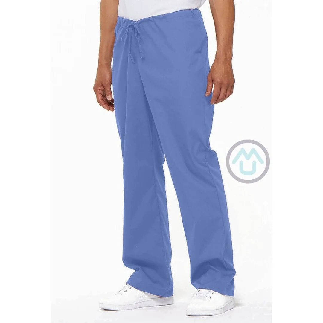Unisex nohavice Dickies - nebeská modrá XS