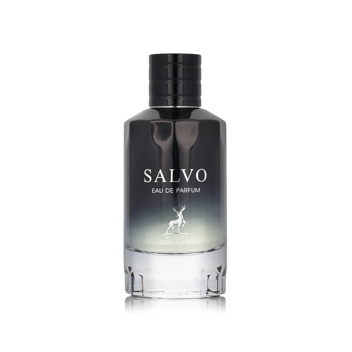 Maison Alhambra Salvo parfumovaná voda 100 ml pre mužov