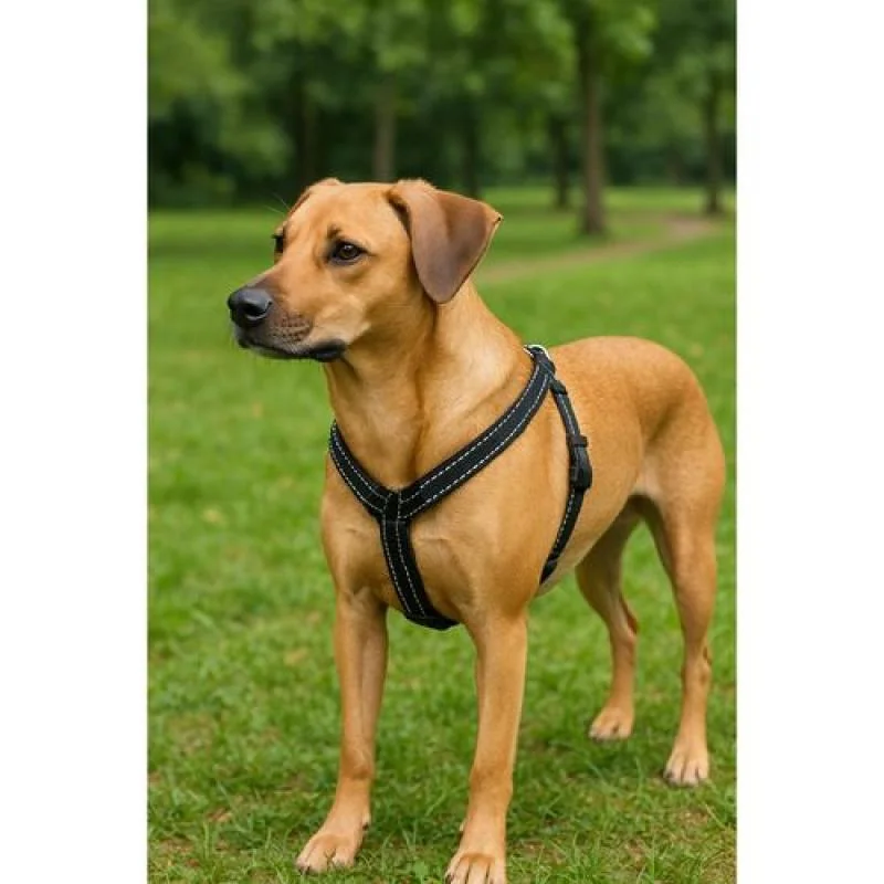 COBBYS PET Postroj step-in, popruhový čierny reflexný XS 1,0x30-40cm strih: A