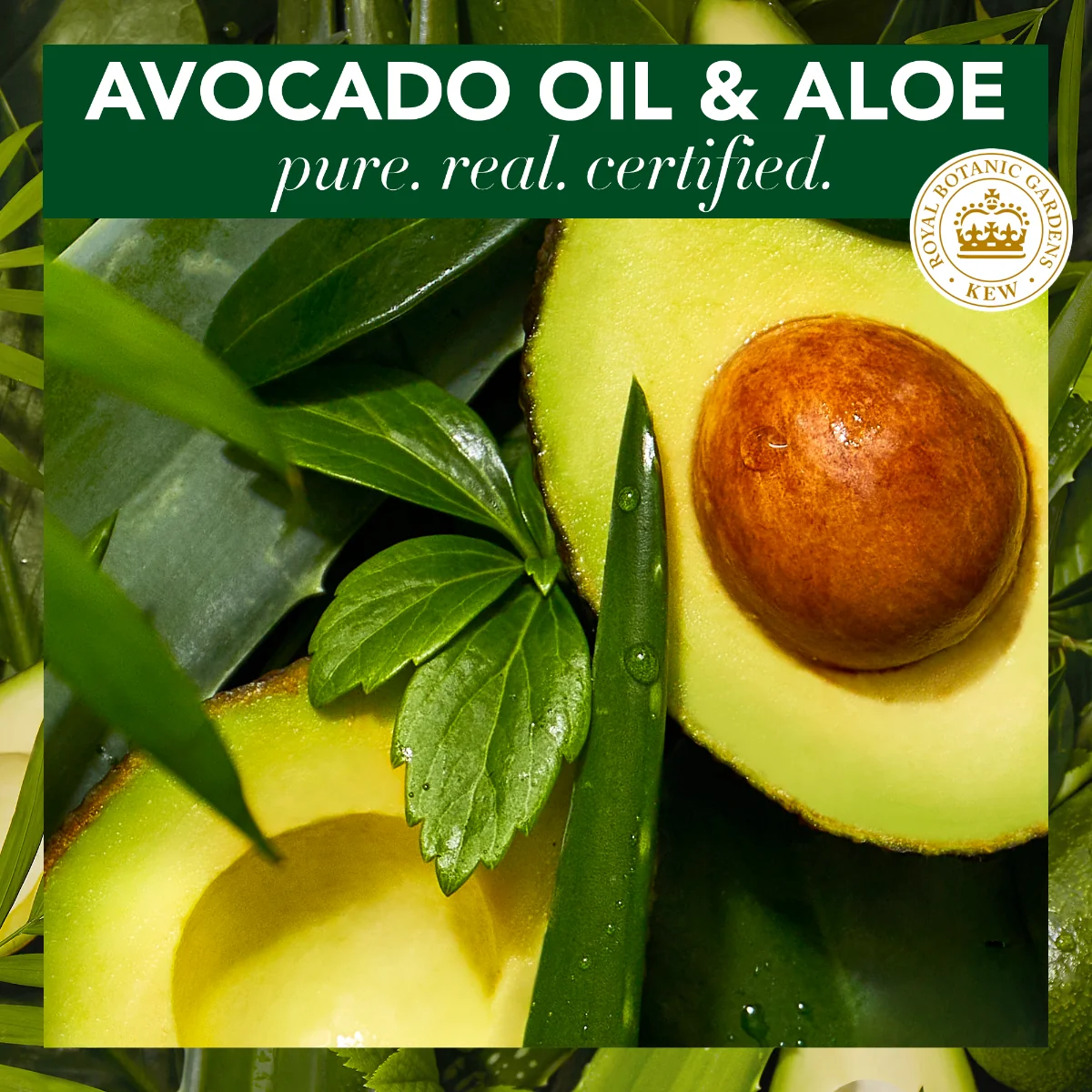 Herbal Essences Vyživujúca Maska Na Suché Vlasy A Pokožku Hlavy Pure aloe&Avocado 1×450ml, maska na vlasy