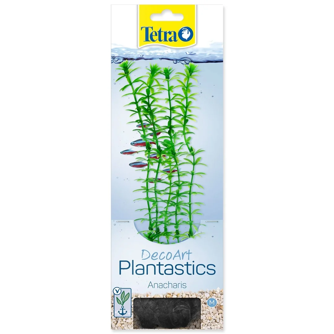 Dekorácia Tetra Rastlina Anacharis M 23cm