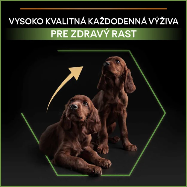 PRO PLAN Small & Mini Puppy Healthy Start granule pre šteniatka kura 3 kg 1×3kg, granule pre psy menšieho vzrastu a šteňatá