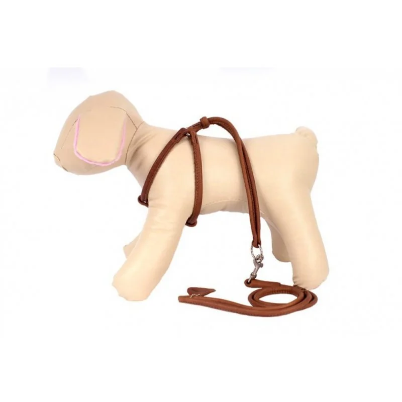 Kožený postroj s vodítkom hnedý, Veľkosť: XS