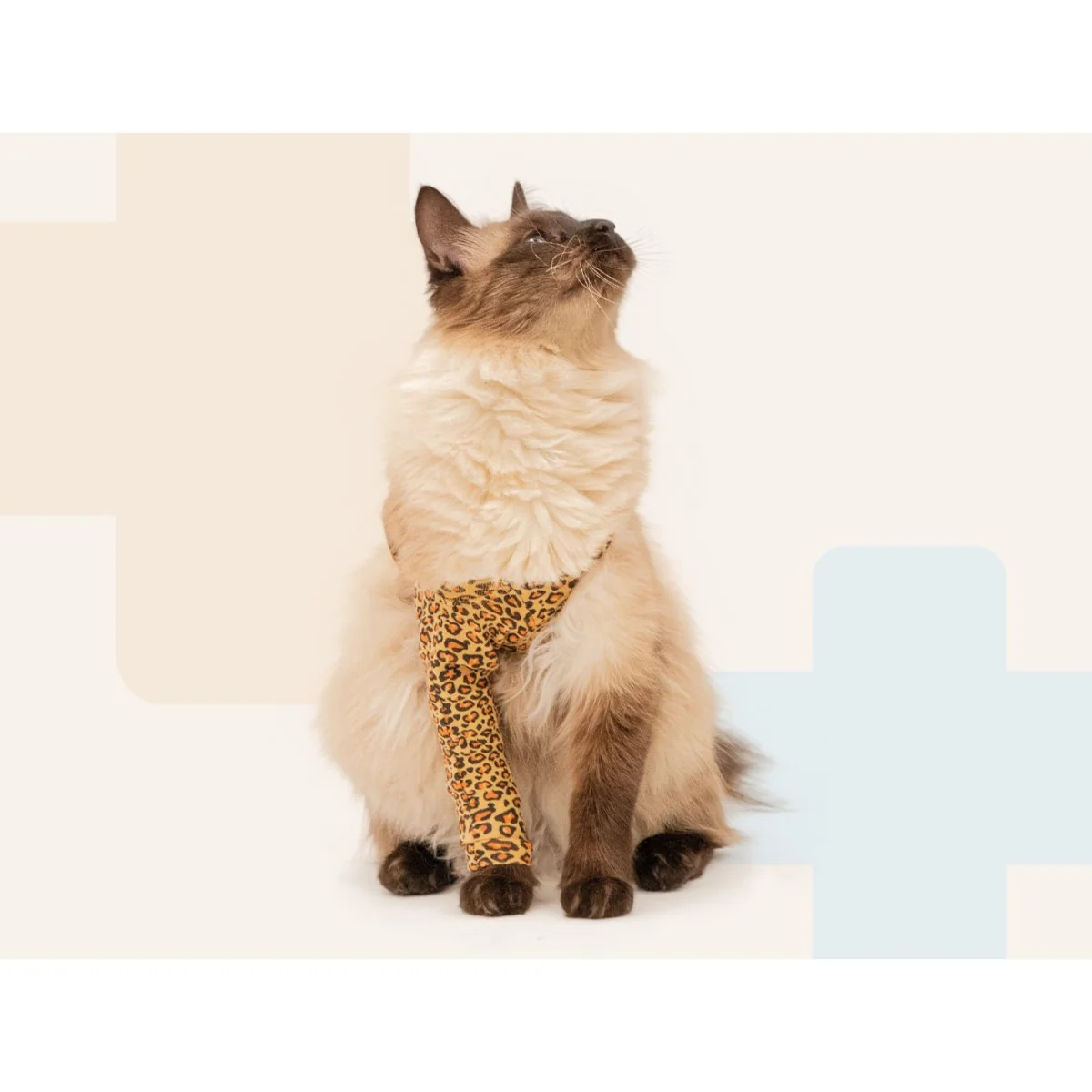 Pooperačné ochranné oblečenie na prednú nohu mačky leopardí vzor, S
