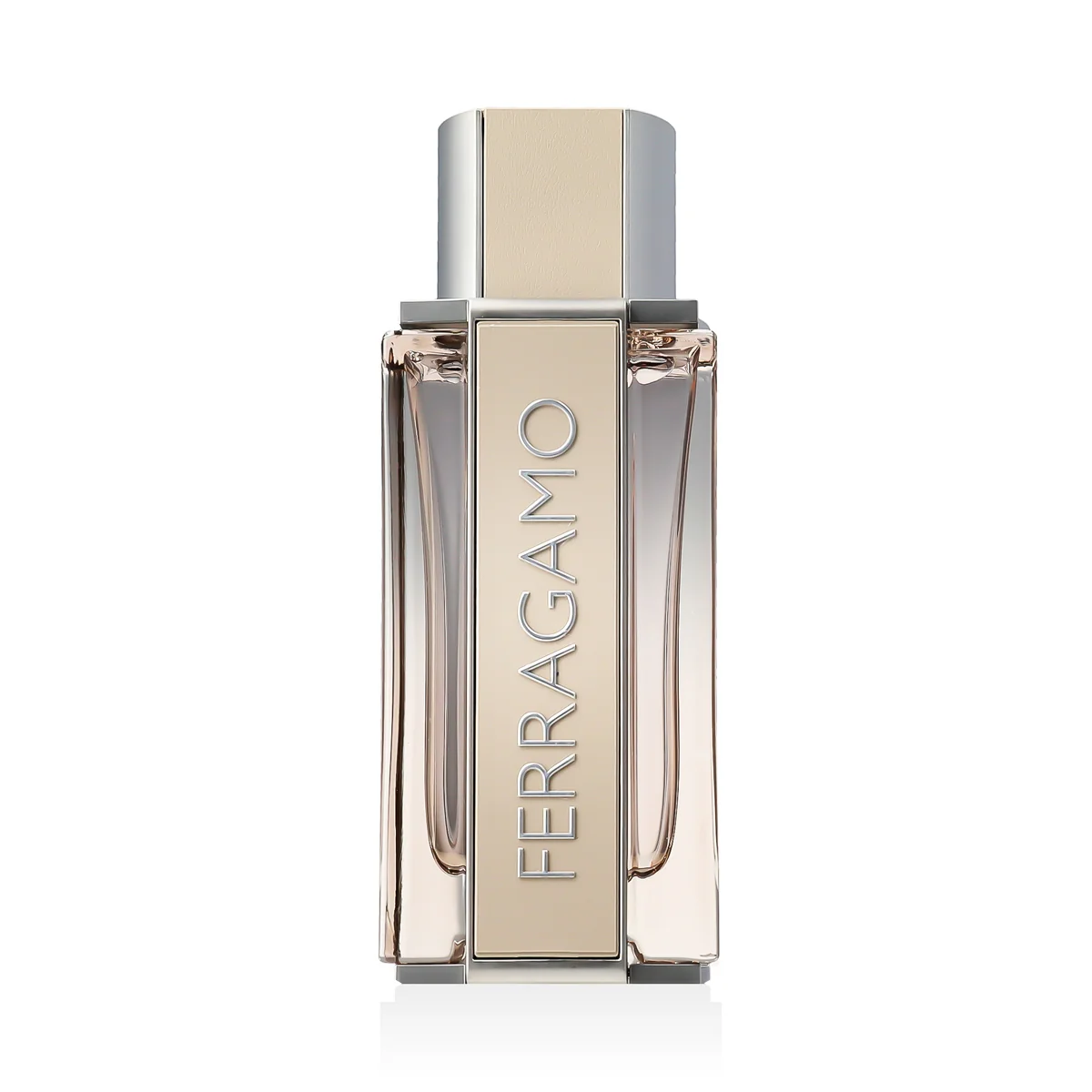 Ferragamo Ferragamo Bright Leather EDT 100 ml M