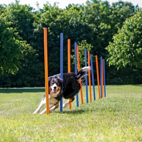 Agility Slalom, Tyče 12ks 1×12 ks, slalomové tyče