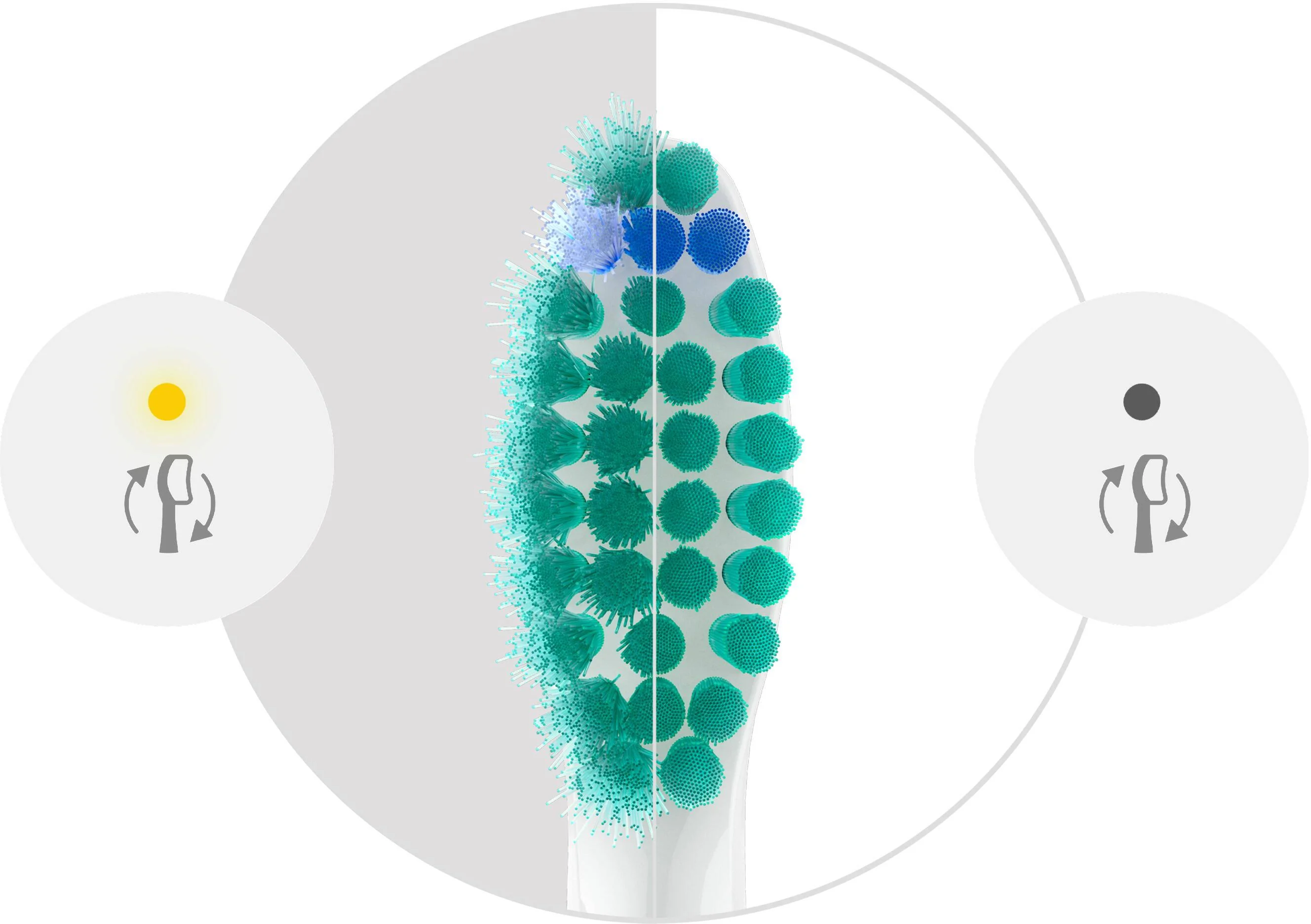 Philips Sonicare ProResults HX6014/87 1 ks