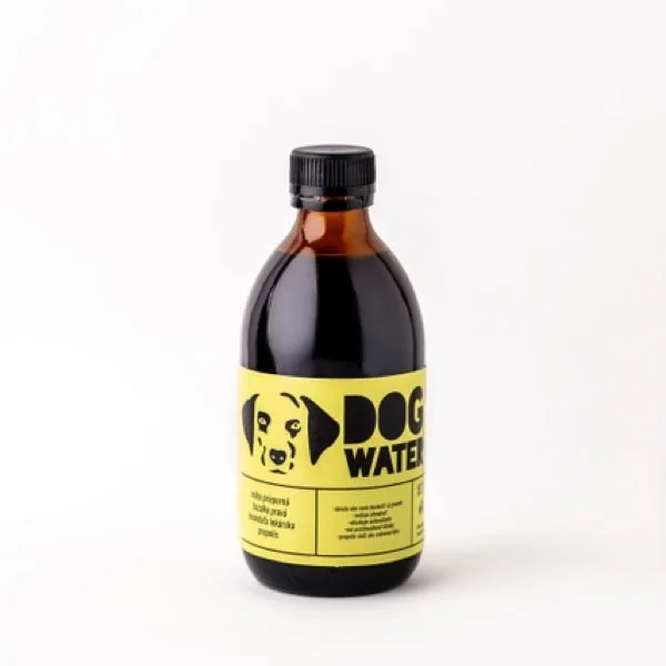 Zdravý sirup Make Tasty 1×300 ml, bylinný sirup