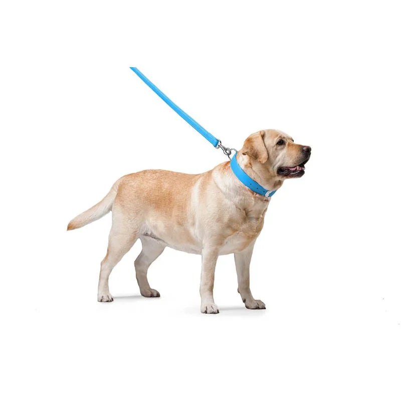 Ploché kožené vodítko modrej farby 122cm, šírka: 18 mm
