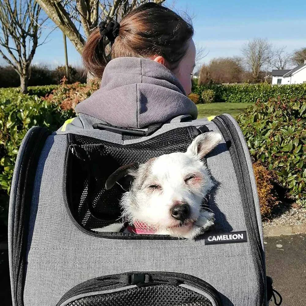 MG Animal Backpack V2 prepravná taška pre psy a mačky, sivá