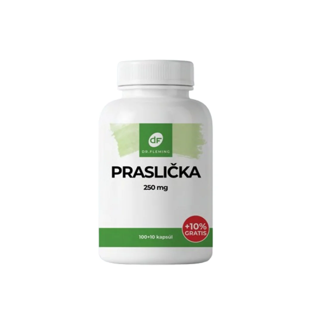 DR. FLEMING Praslička 250mg +10% grátis 110ks