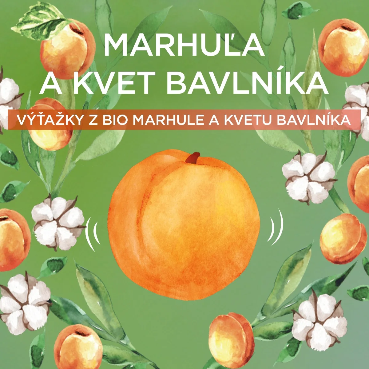 Garnier  Botanic Therapy Disney Kids Leví kráľ marhuľa 2v1 šampón&kondicionér 400 ml 1× 400ml, šampón a kondicionér