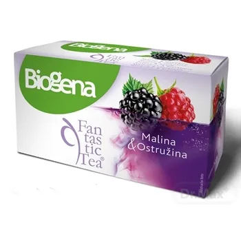 Biogena Fantastic Tea Malina & Ostružina 20×2,2 g (44 g), ovocný čaj