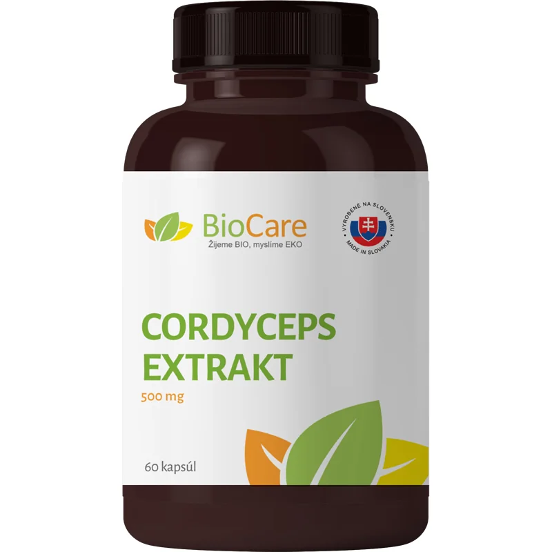 Cordyceps Natural 500mg (2x60 kapúl) DUO pack 1+1