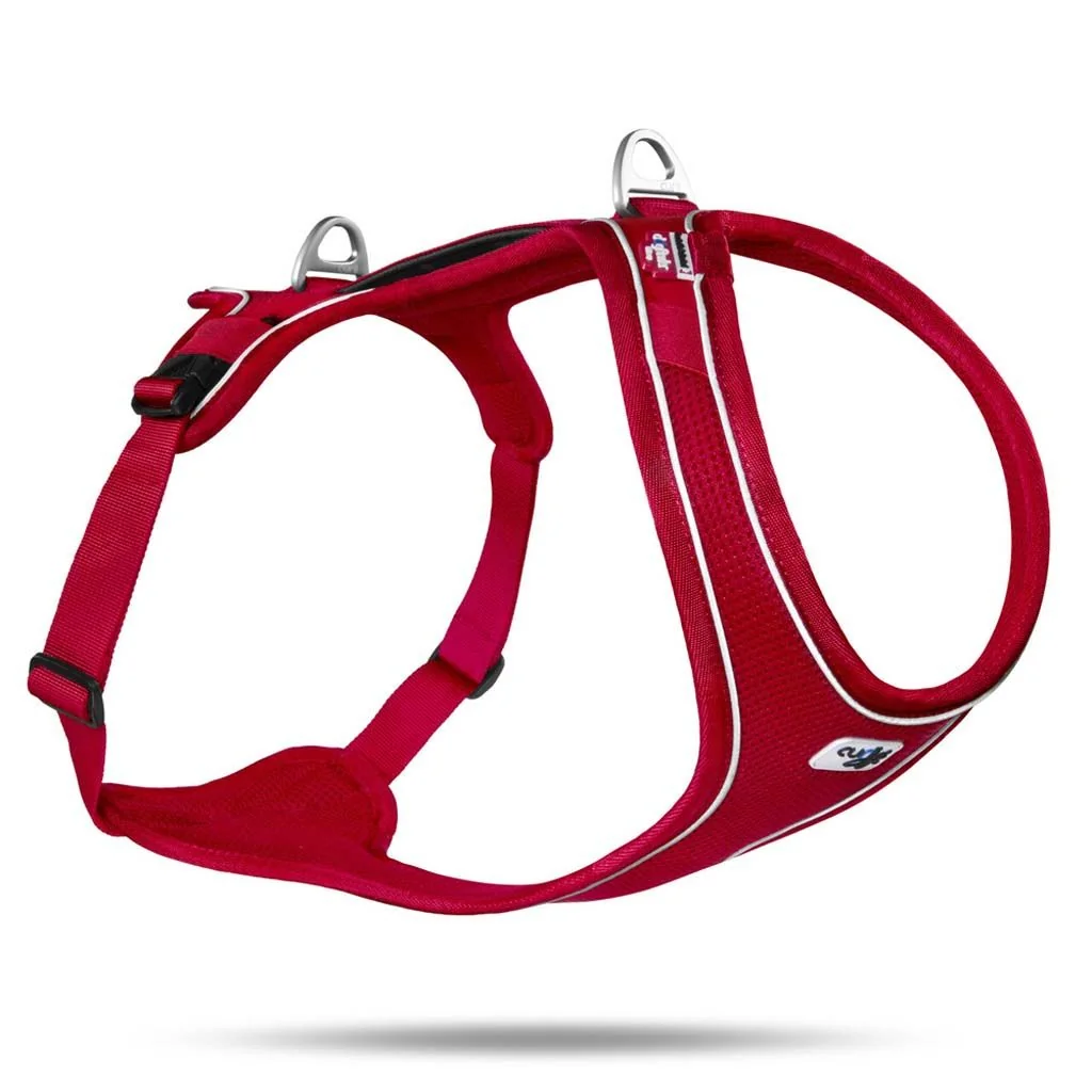 CURLI Postroj pre psy Belka Comfort Red XS, 15-20 kg 1×1 ks, veľkosť XS, červená