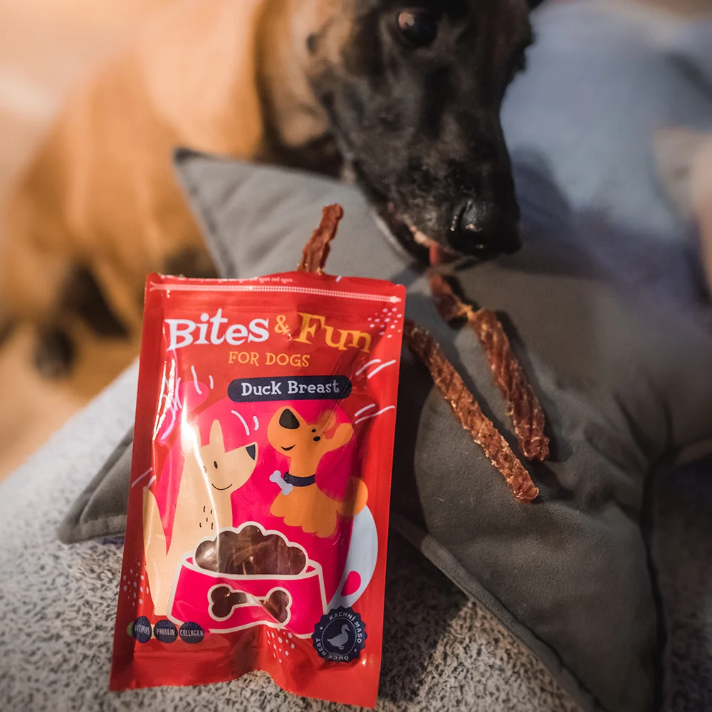 Akinu BITES & FUN Pochúťka z kačacích pŕs pre psy 10 x 85 g