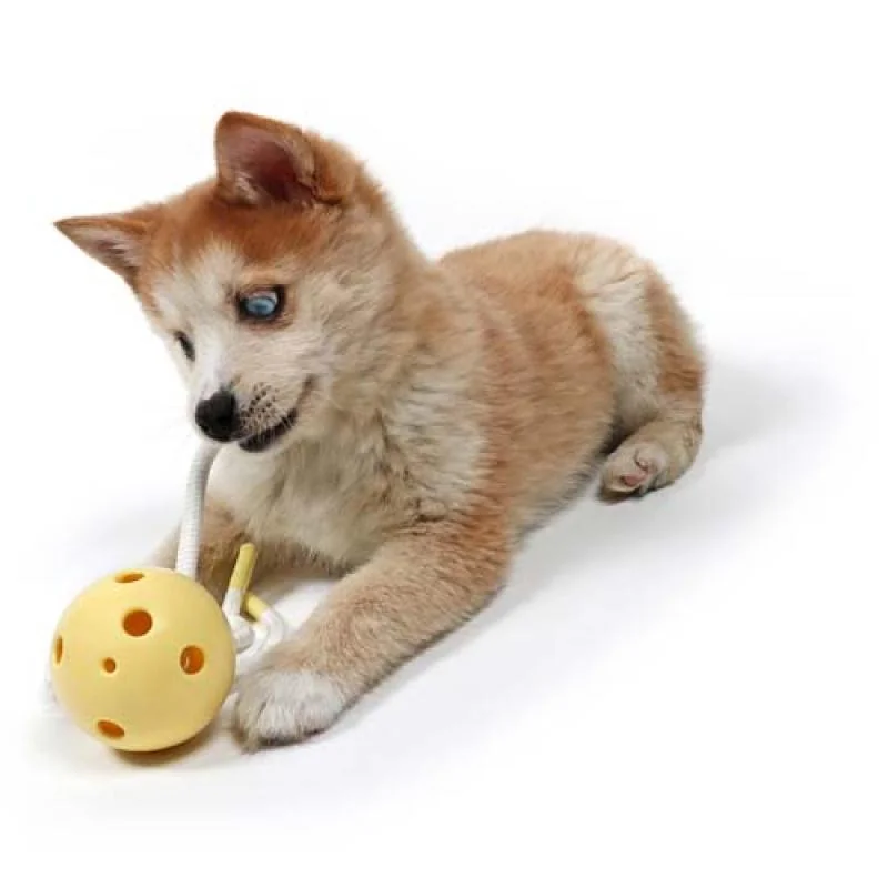 EBI PETIT MILO Hryzátko pre šteňatá a dospelých psov malých plemien žltá chobotnica 18x7x7cm